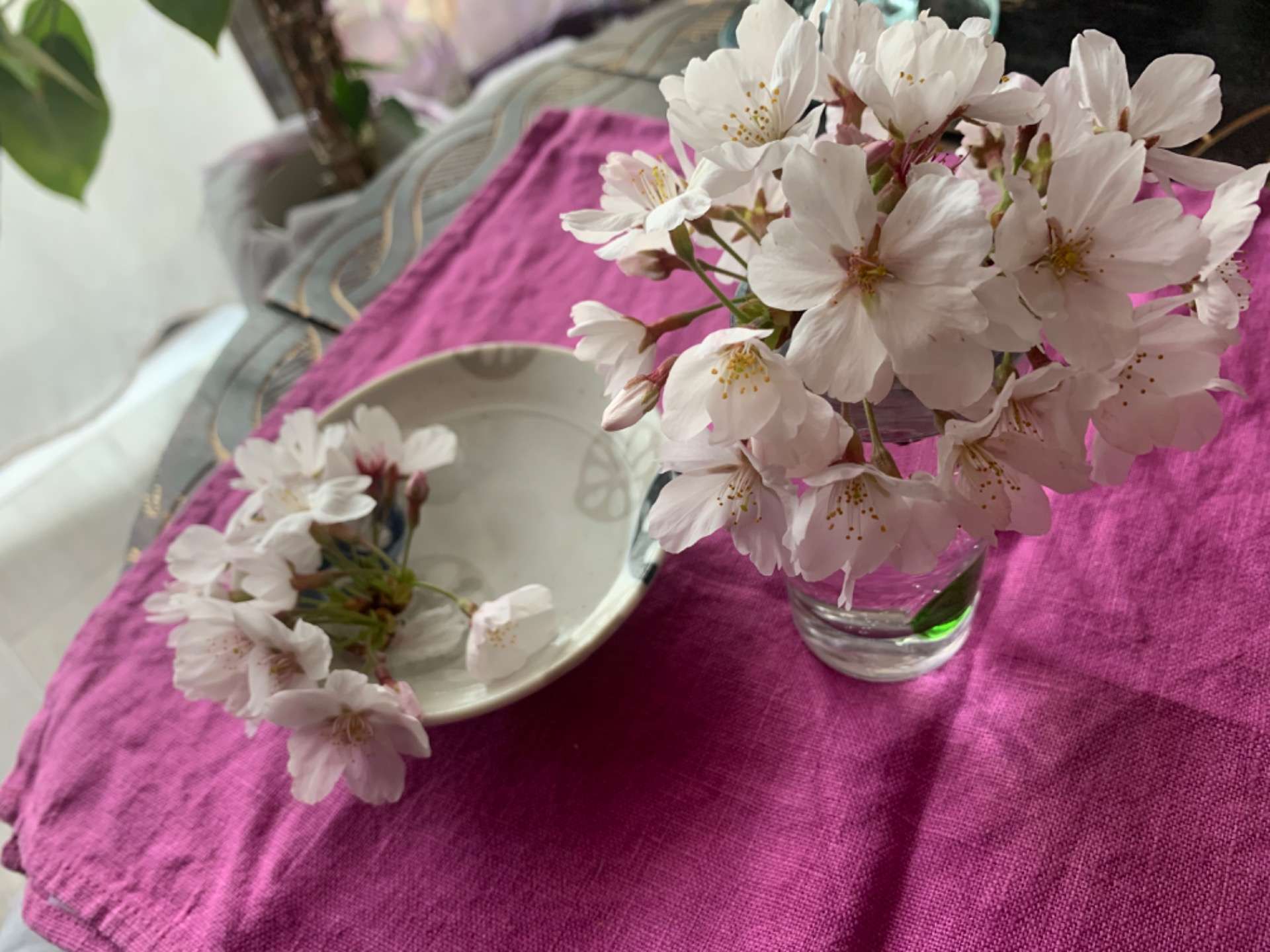 折れた桜の小枝〜アリーシャの呟きブログ〜