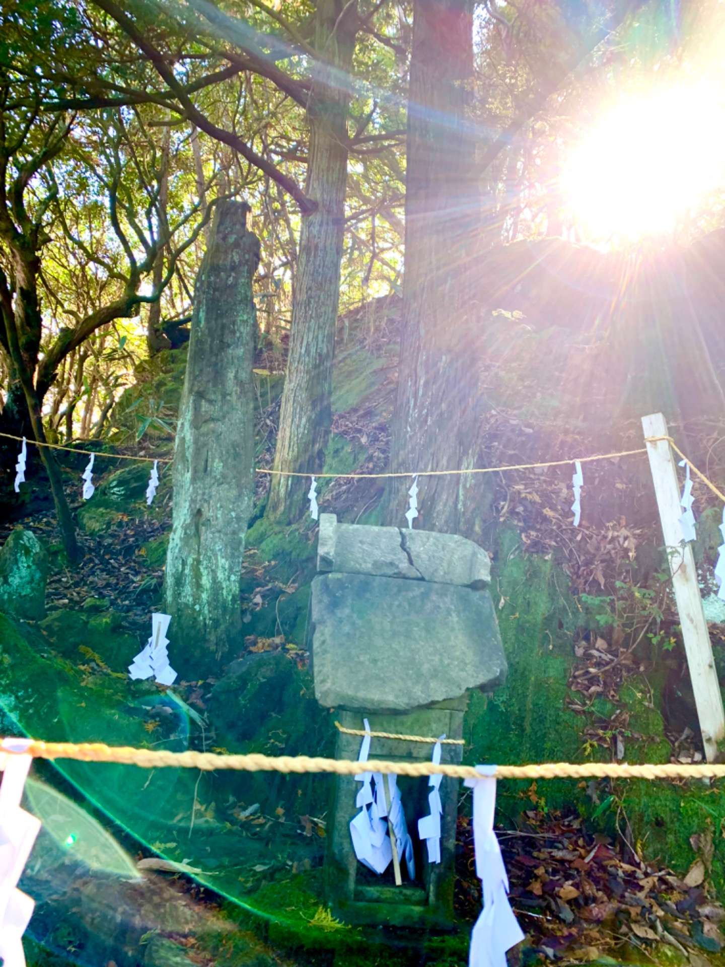 11月11日御岩神社さん光の柱〜スピリチュアル記録〜